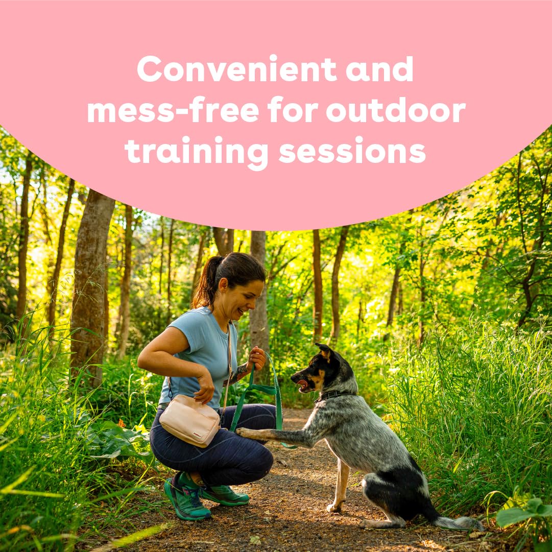 Pupford Soft & Chewy Treats pork aroma aids focus during practice