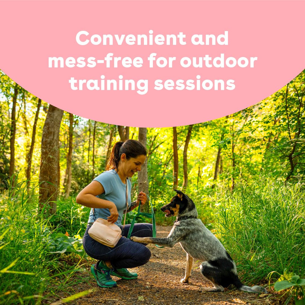 Pupford Soft & Chewy Treats pork aroma aids focus during practice