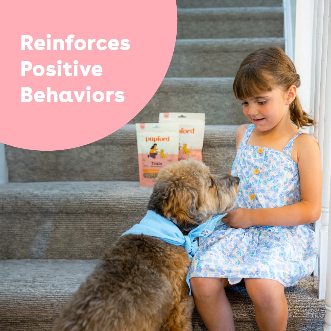 Pupford Soft & Chewy Treats pork during training session facilitates quick learning cues