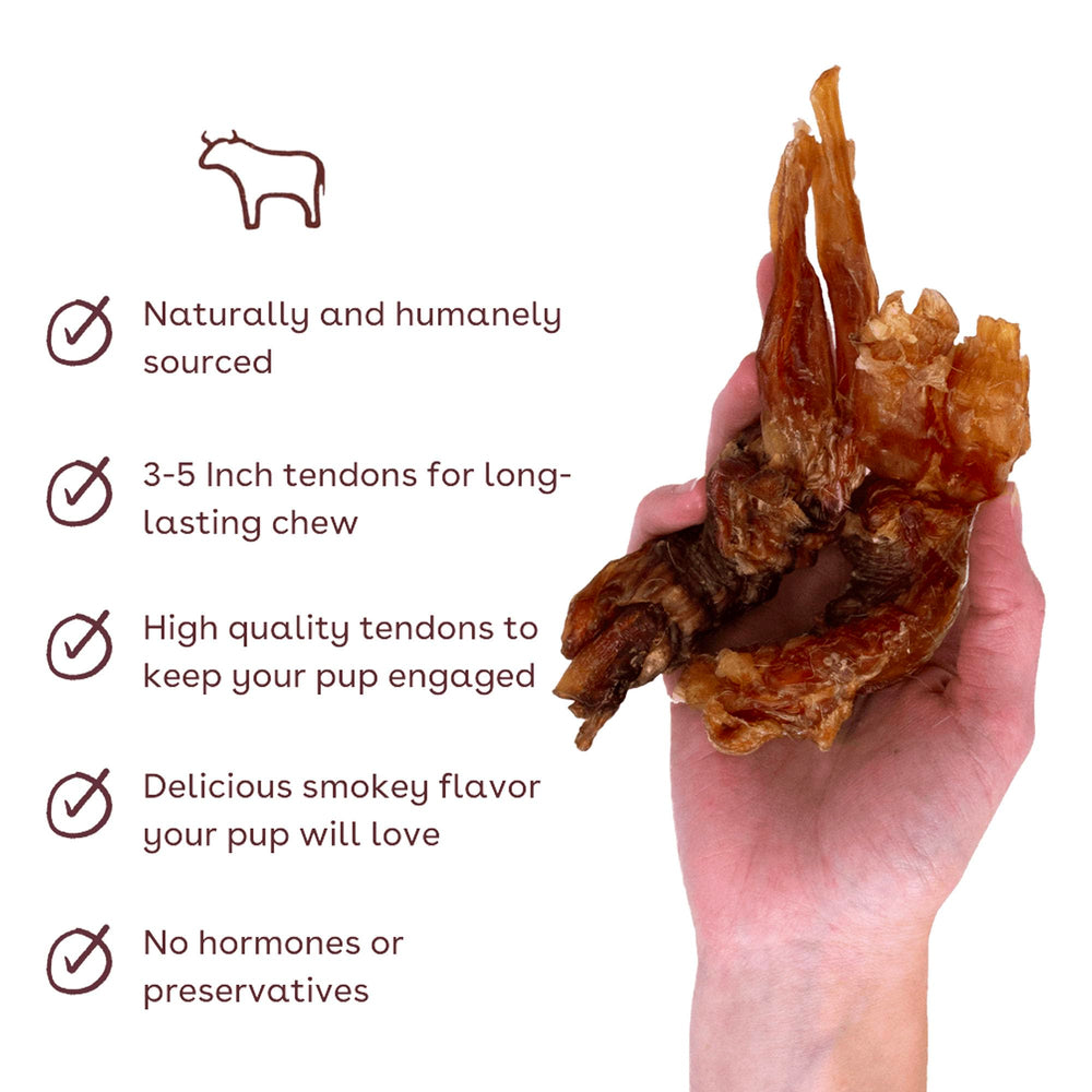 Pupford Thick Beef Tendon Chews dog-chewing action—redirects chewing instincts.
