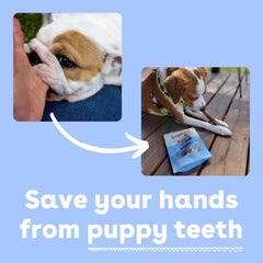 Pupford Thick Bully Sticks smoked odor control for cleaner chews.