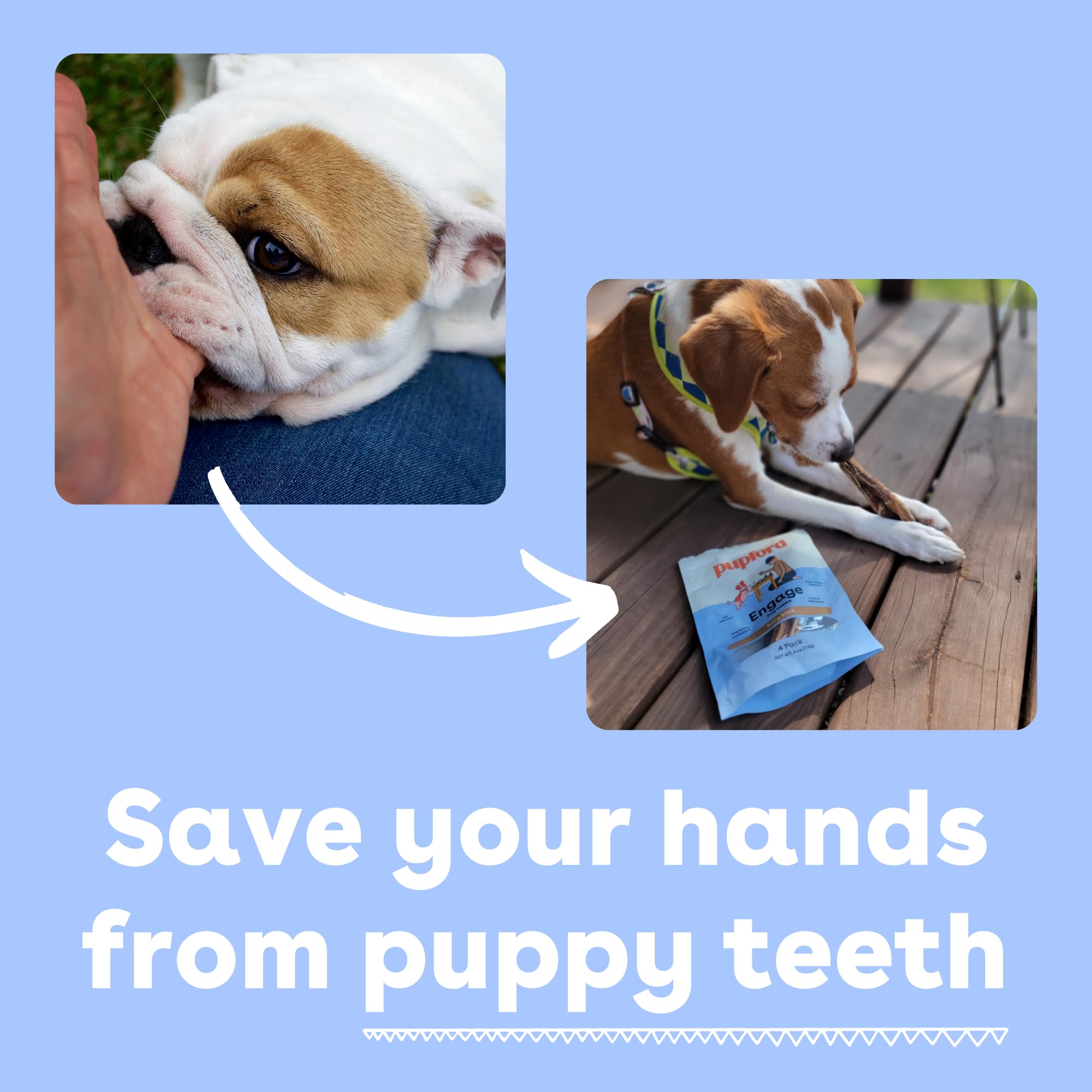 Pupford Thick Bully Sticks puppy chew time, single-ingredient natural.