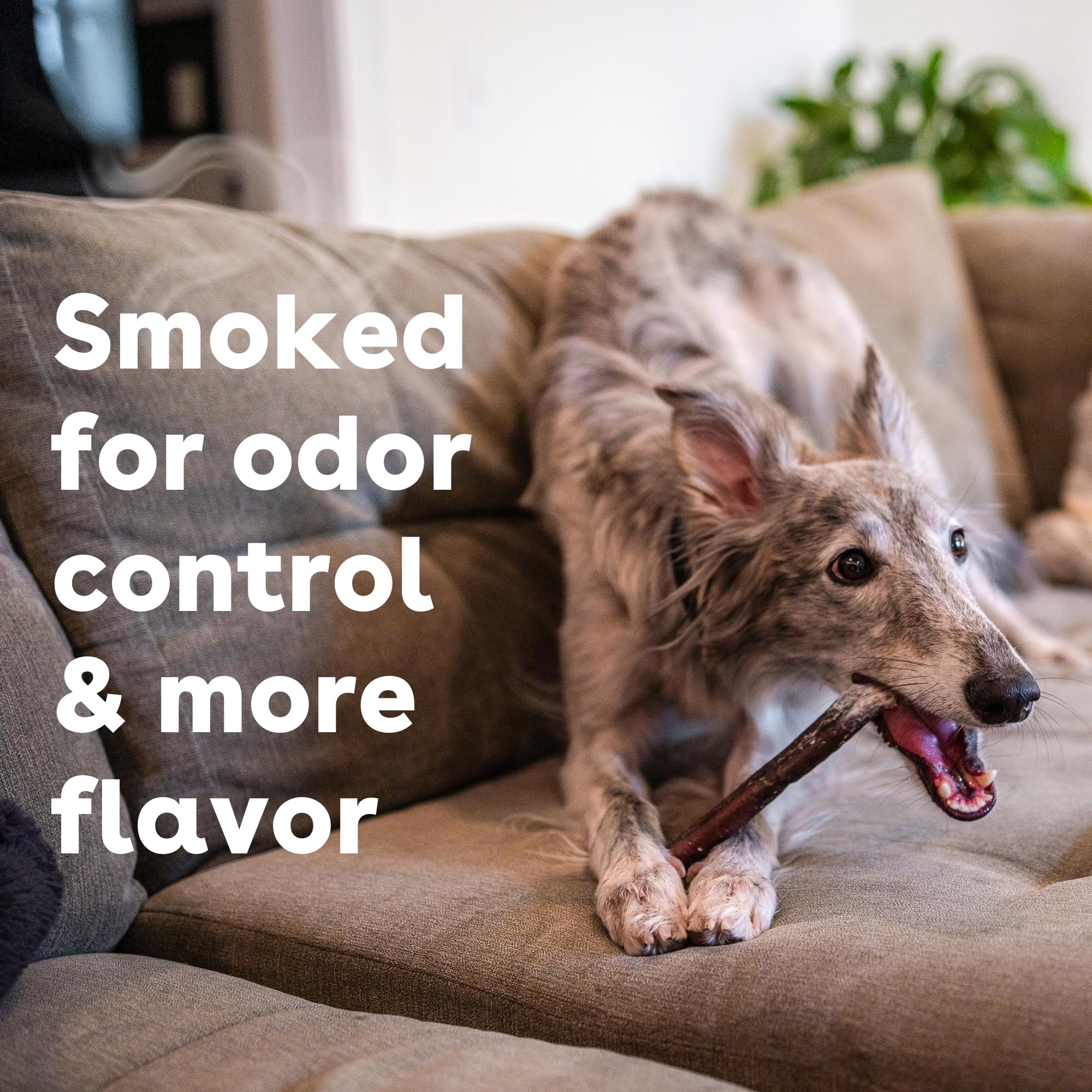 Pupford thick bully sticks single ingredient label highlighting natural chew