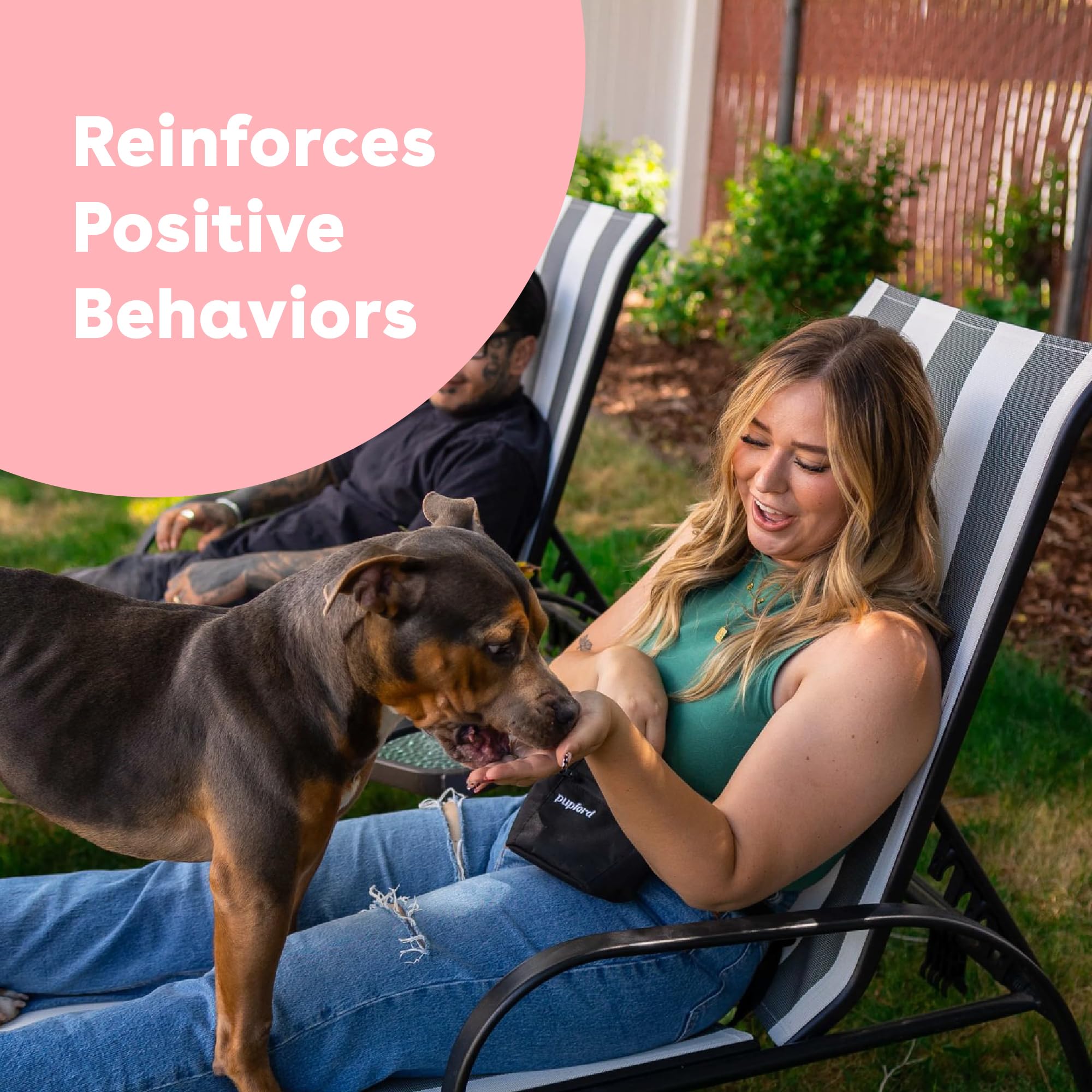 Pupford training rewards in hand ready for short sessions.