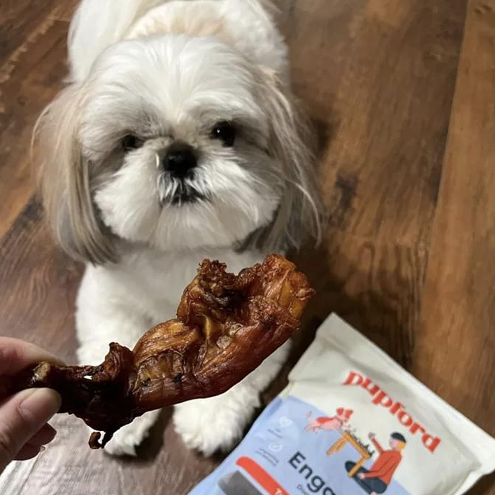 Pupford Turbo Beef Tendon Chews for teething puppies provides safe, satisfying relief.