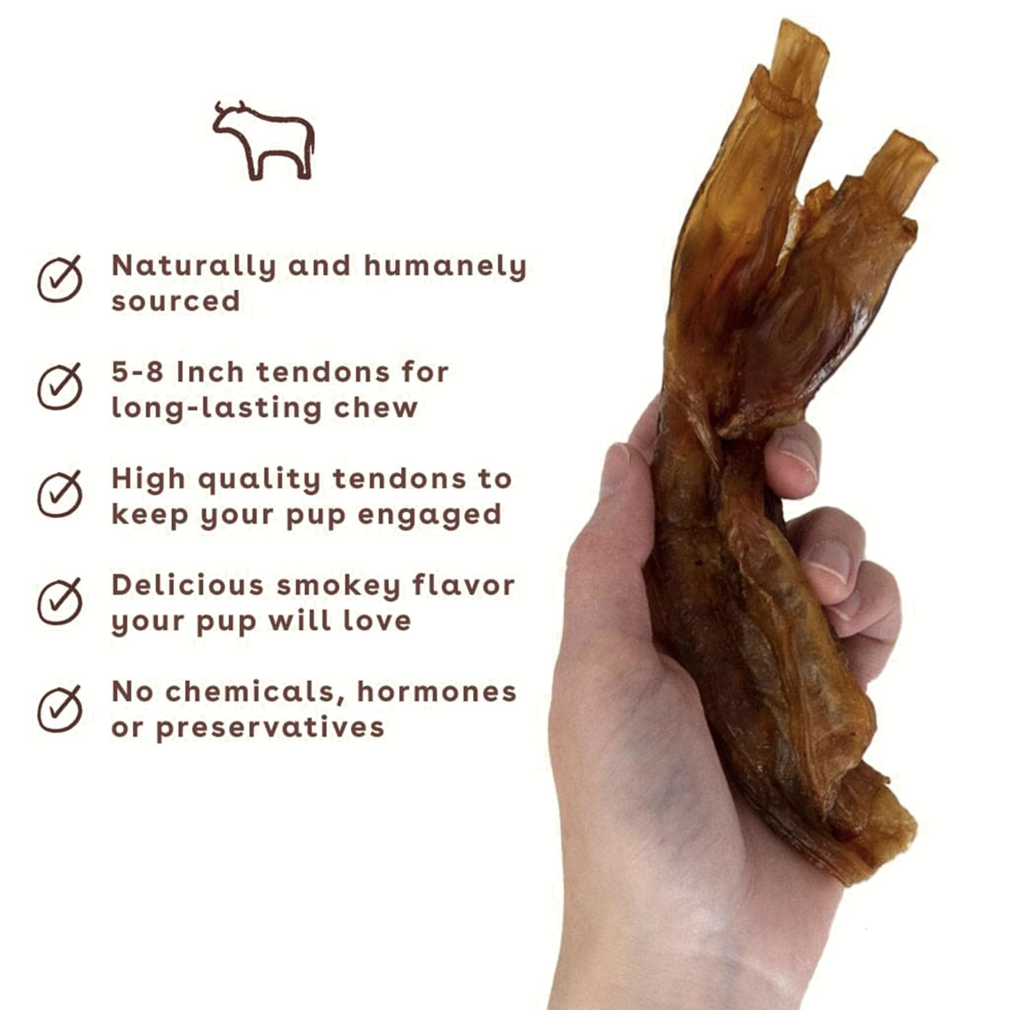 Pupford Turbo Beef Tendon Chews textured surface emphasizes dental-cleaning potential during chews.
