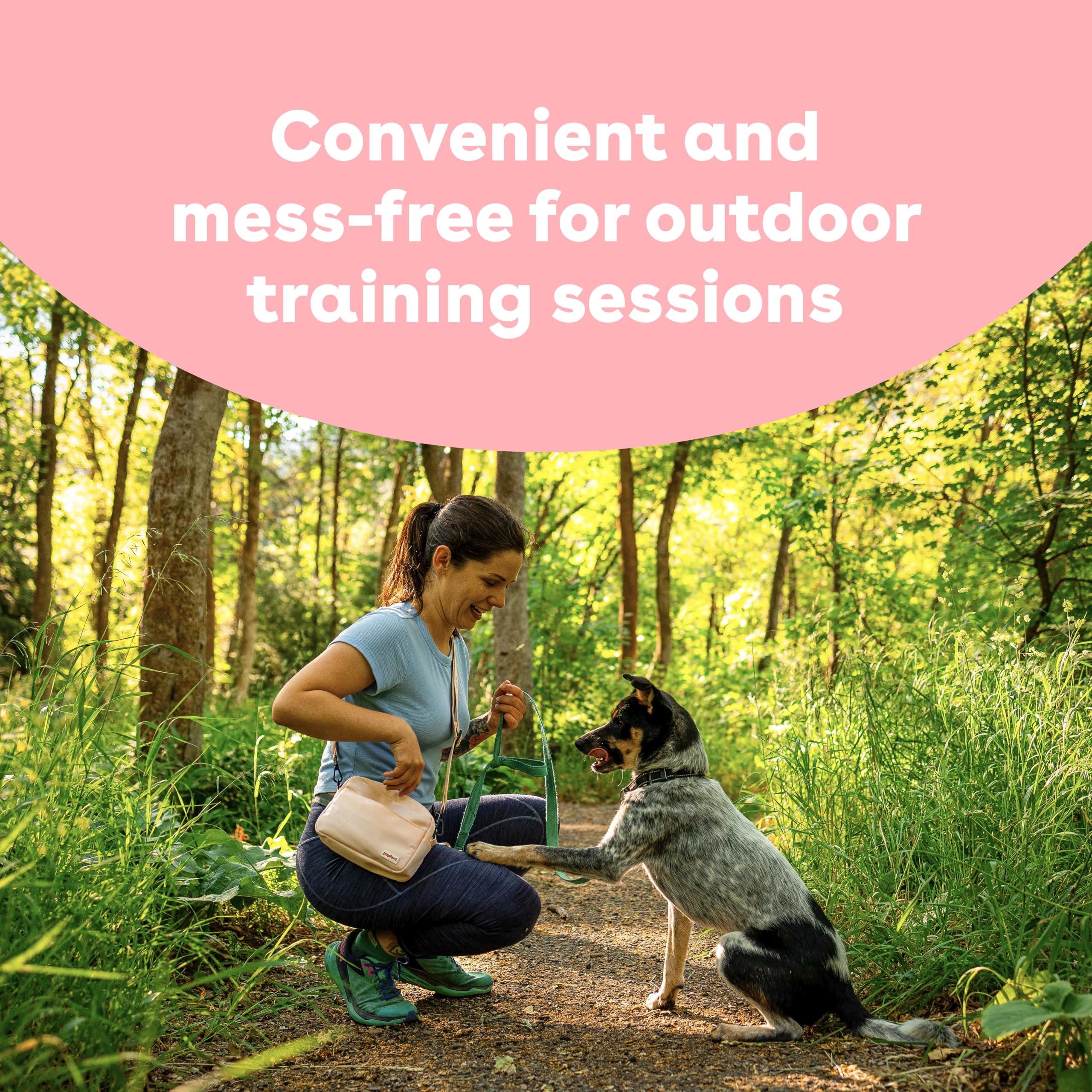 Pupford flavor variety supports picky pups with appealing taste options.