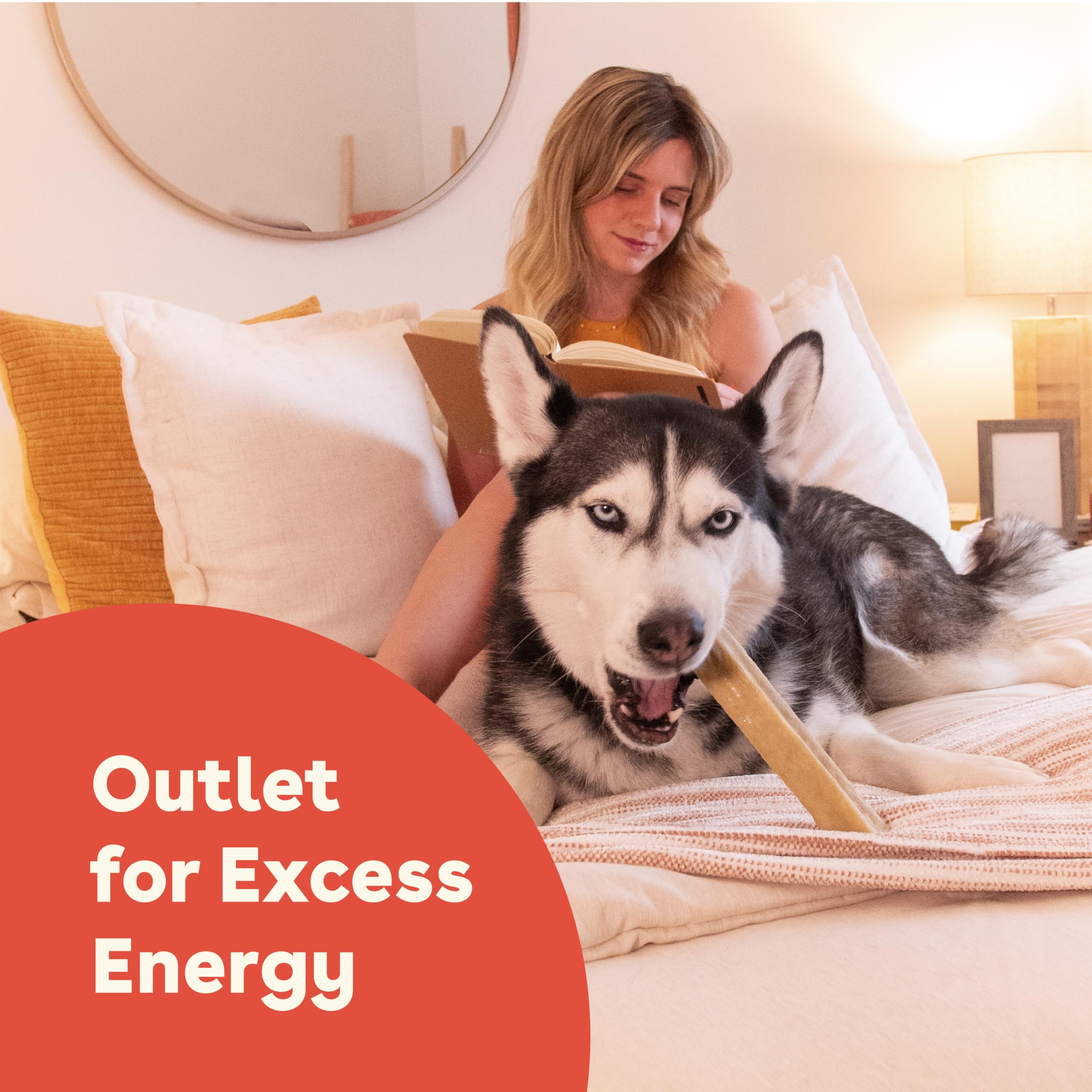 Pupford Yak Chews Dental Health Benefit closeup indicates plaque-tartar action