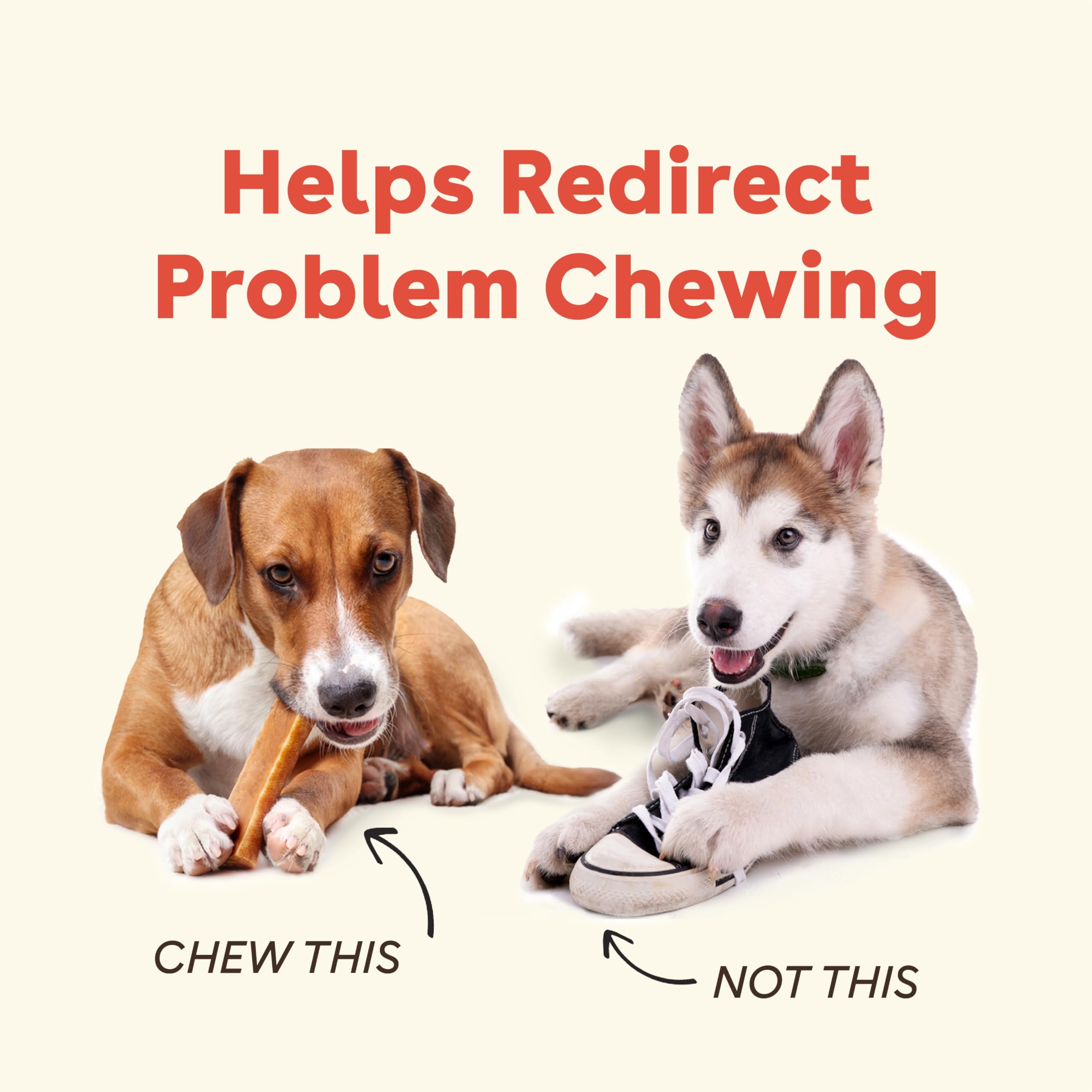 Pupford Yak Chews dog chewing action demonstrating durable relief for bored dogs.