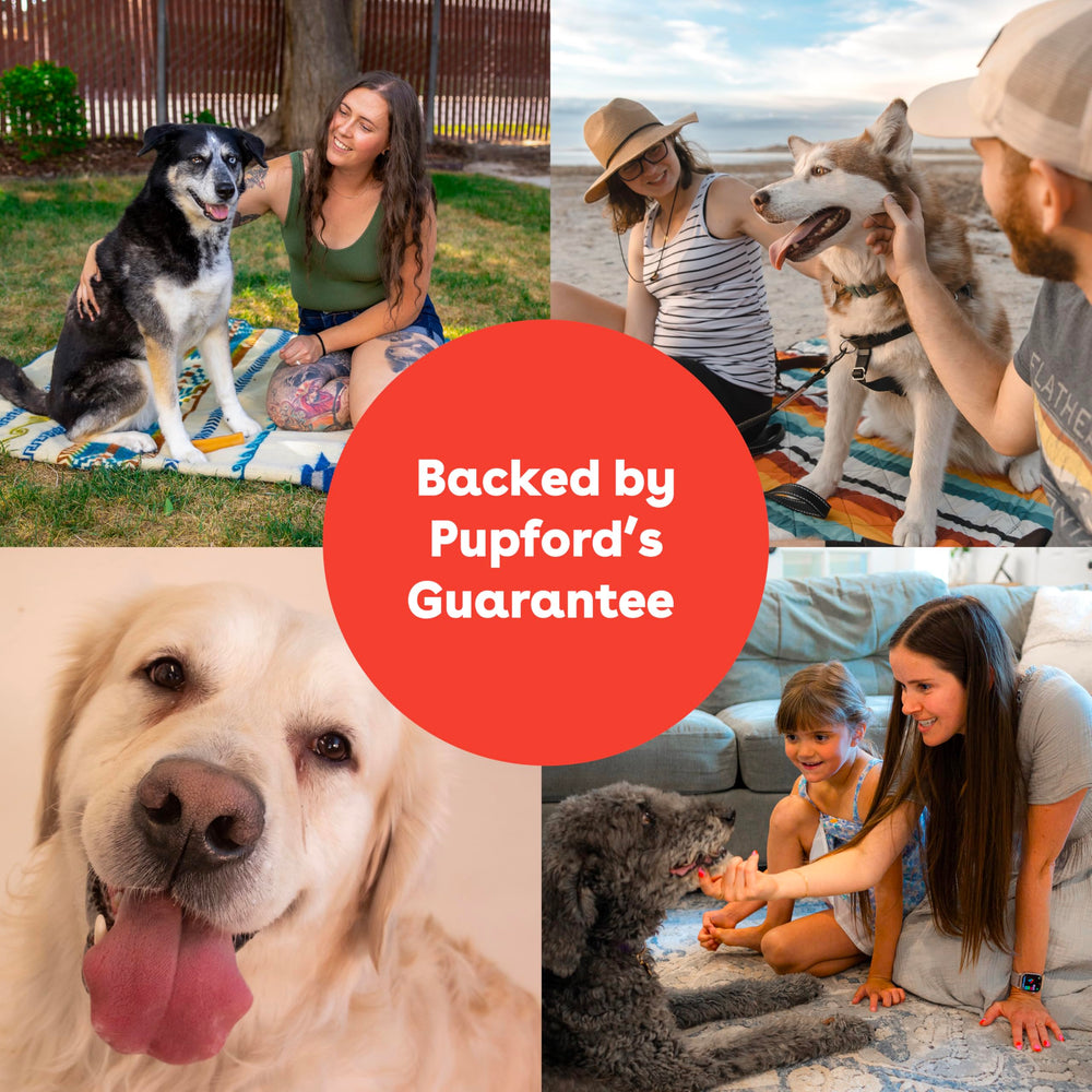 Pupford Yak Chews large-size for bigger dogs with aggressive chewing.