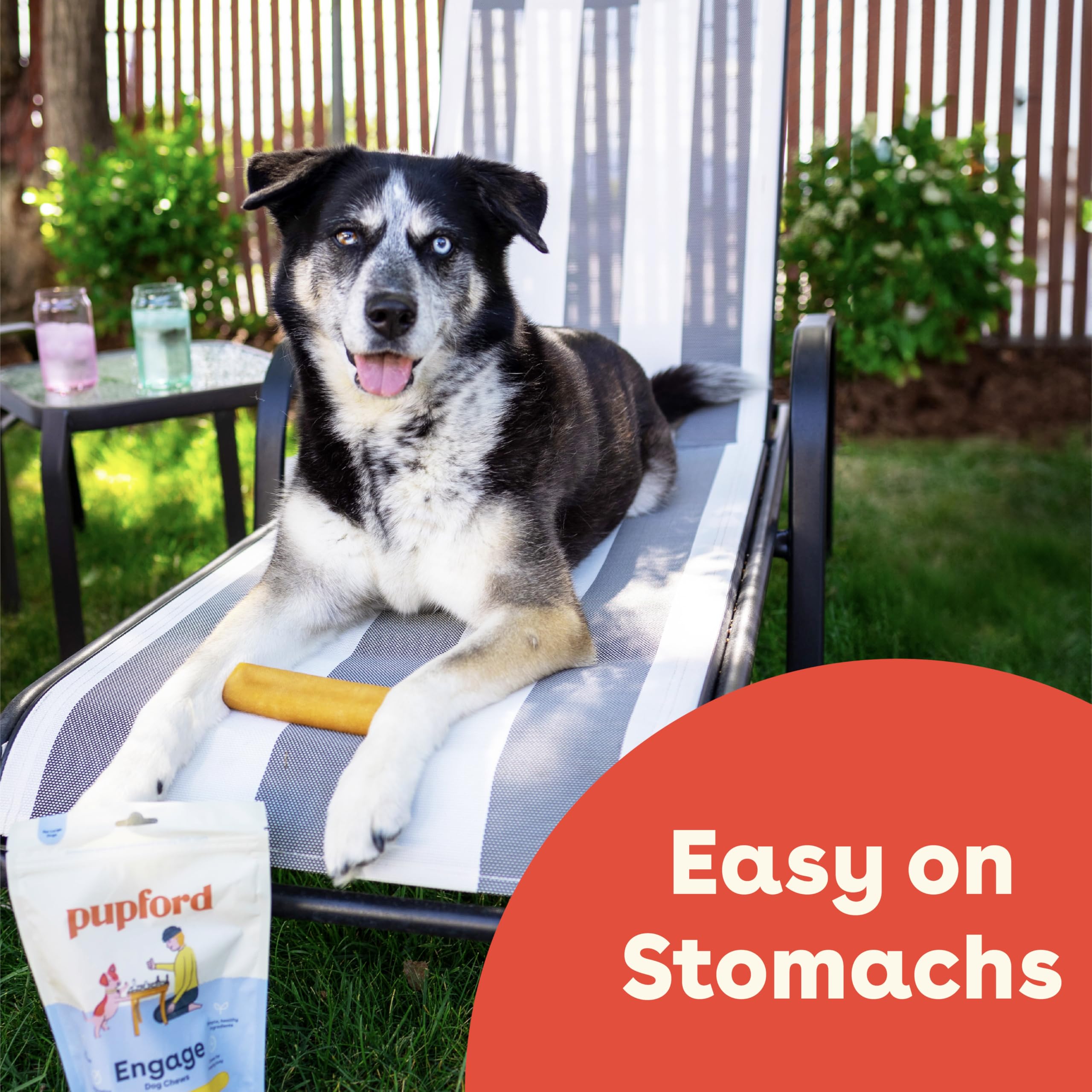 Pupford Yak Chews long-lasting chew close-up emphasizes extended chew time.