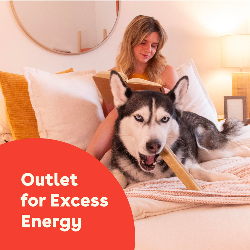 Pupford Yak Chews dental-texture close-up highlights tartar-scraping action