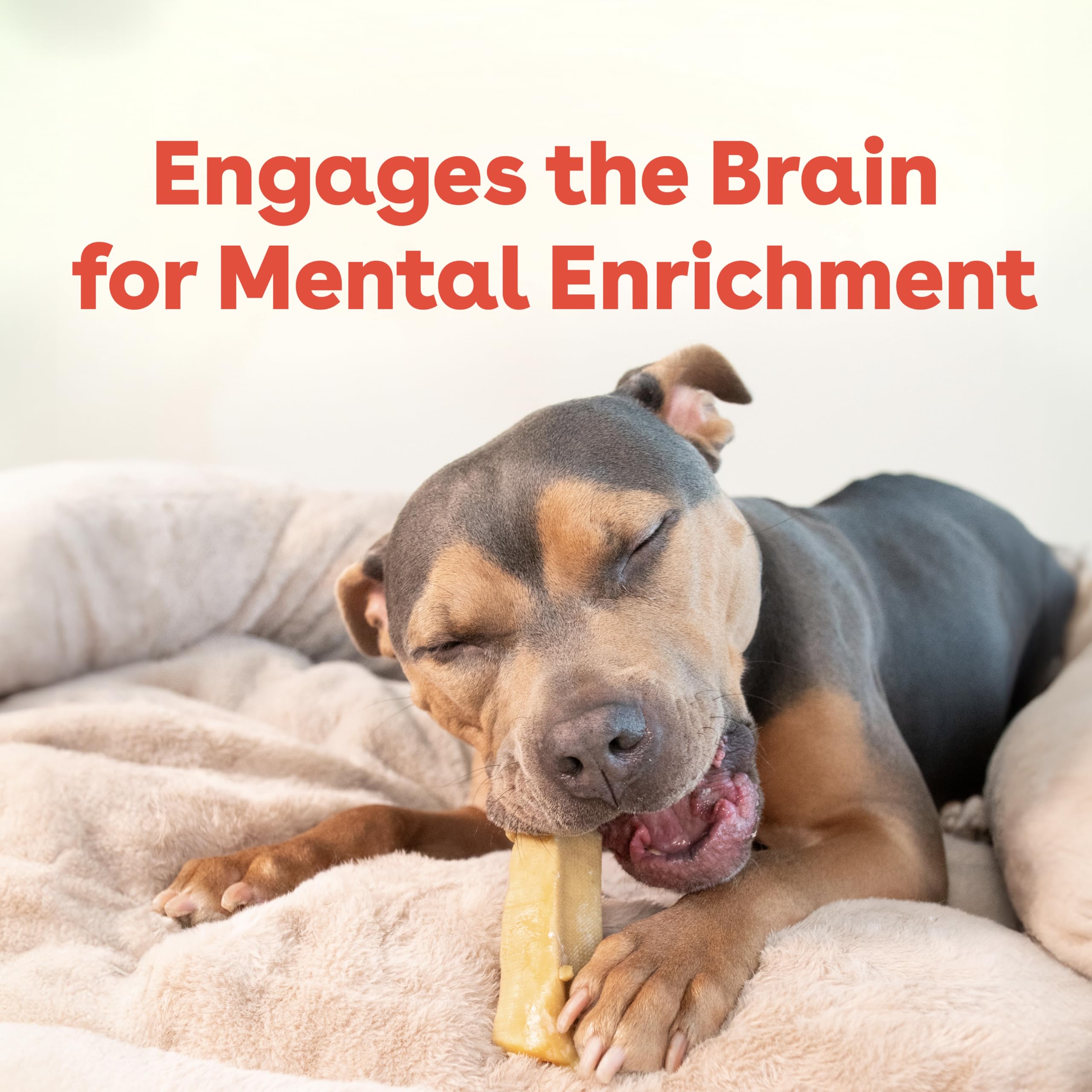 Pupford Yak Chews teething-dog visuals show calming distraction during play