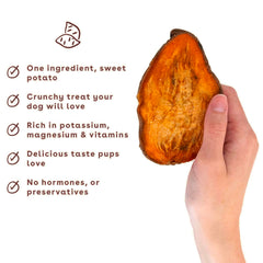 Pupford Zak George training video promo, free training resources.