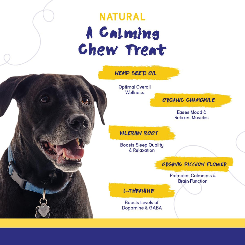 PupGrade Calming Chews serving dish showing bite-sized chews for daily relaxation.