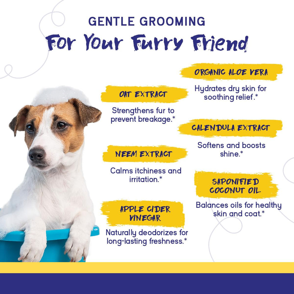 PupGrade Complete Care oat protein focus for dry patches nourishment