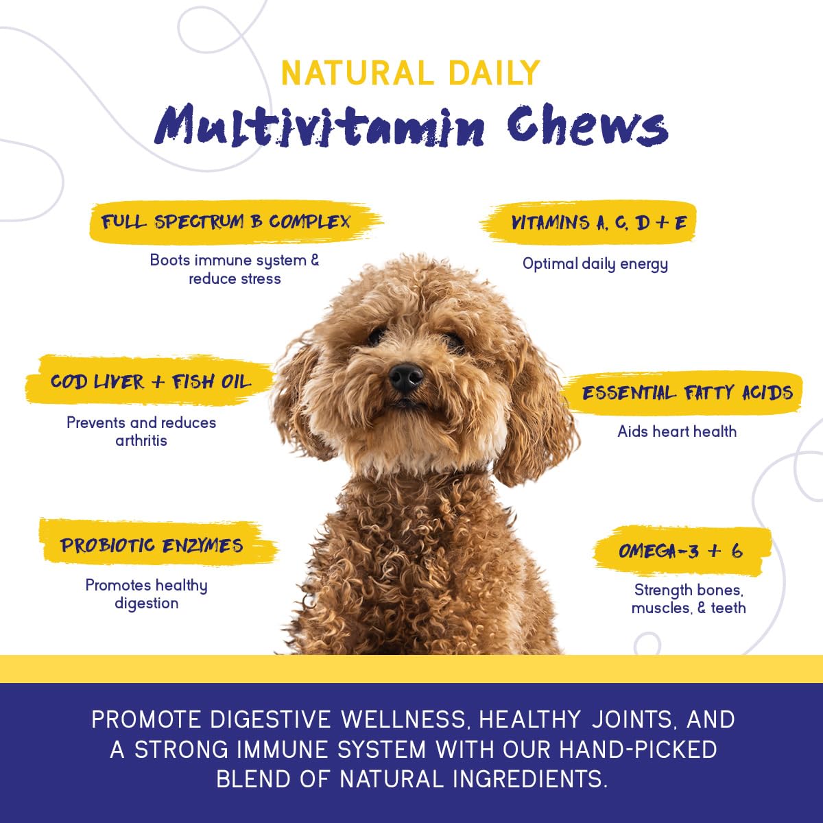 PupGrade chew being fed by a dog shows daily health support in action