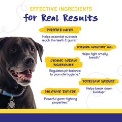 PupGrade Dental Care Water Additive in a dog's bowl supports convenient oral care.