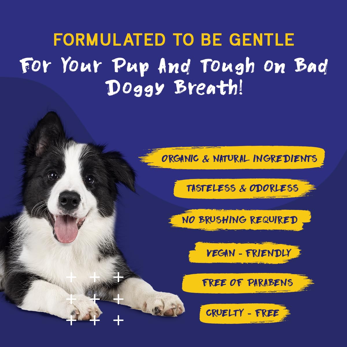 PupGrade flavorless, odorless solution fits everyday hydration routines.