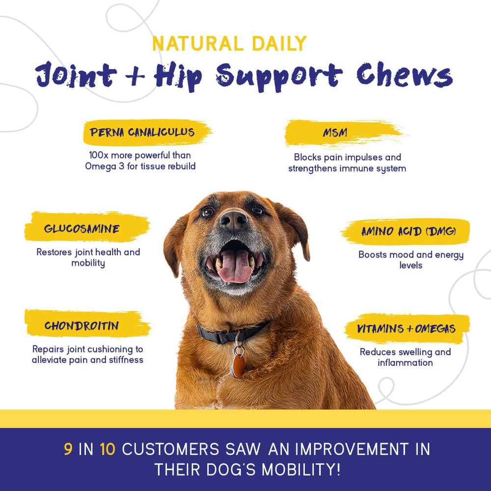 PupGrade grain-free chews closeup, appealing texture and palatability.