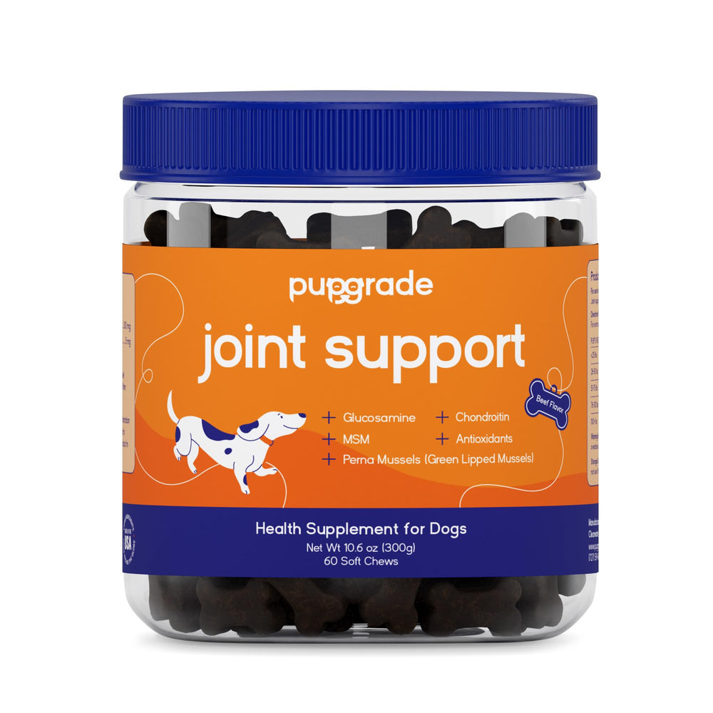 PupGrade joint supplement bottle closeup showing USA-tested mobility support.