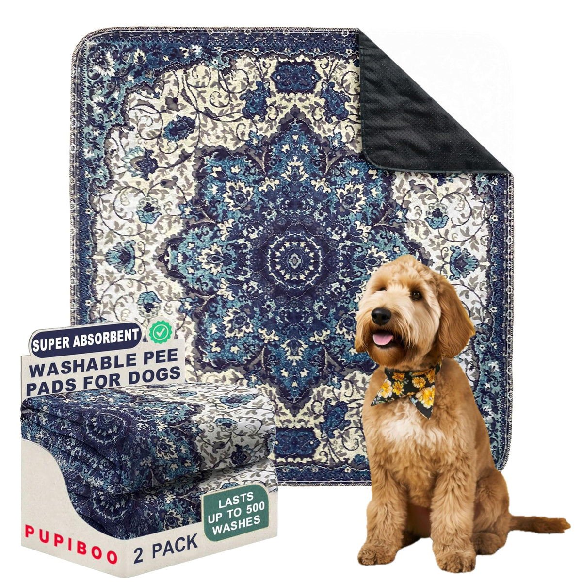 PUPIBOO washable pee pad absorption test showcases long-lasting performance for daily housebreaking.