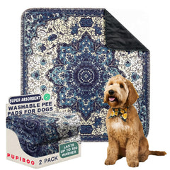 PUPIBOO washable pee pad absorption test showcases long-lasting performance for daily housebreaking.