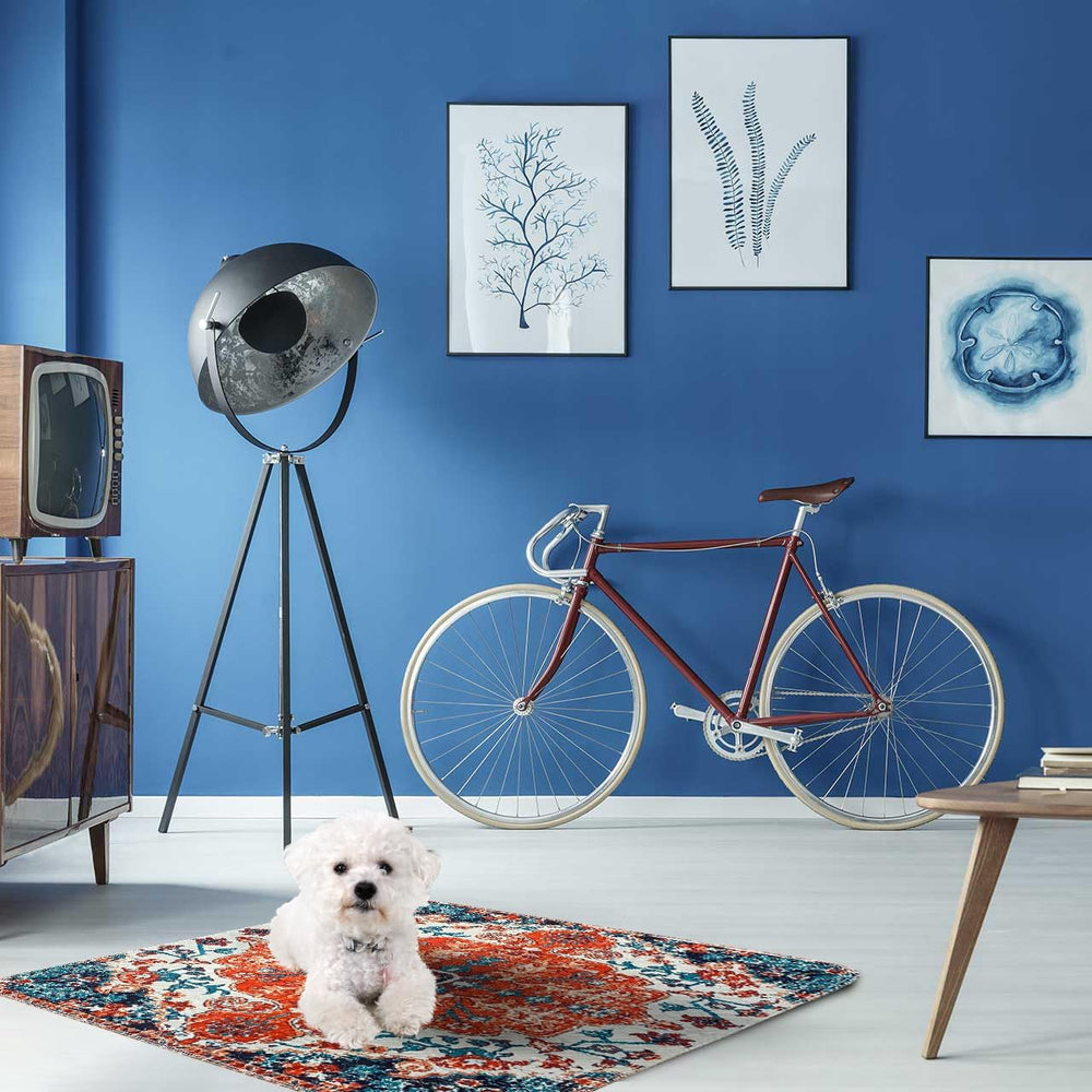 PUPIBOO pattern varieties blend with home decor