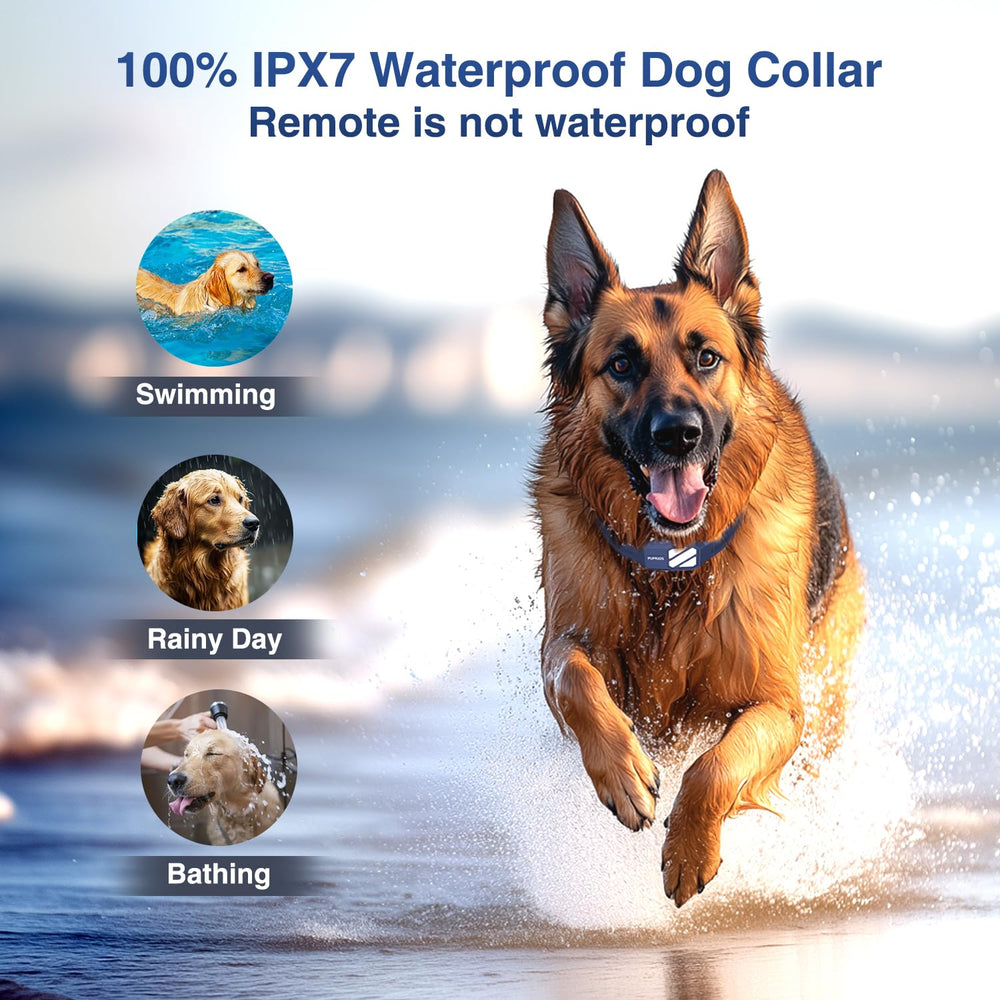 PUPKIDS dual-dog training system uses two independent channels on one remote.