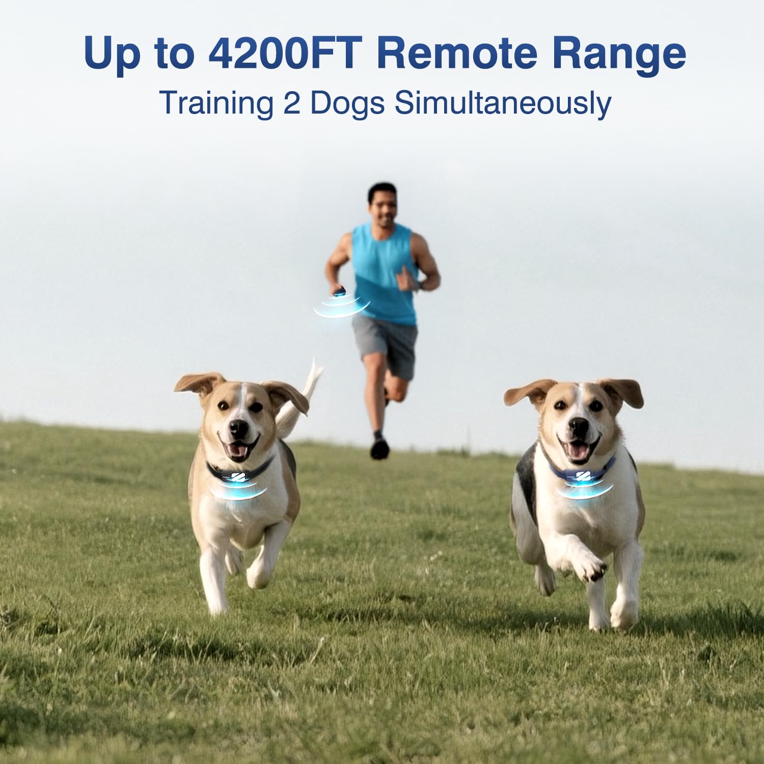PUPKIDS night-light modes illuminate your dog for evening adventures