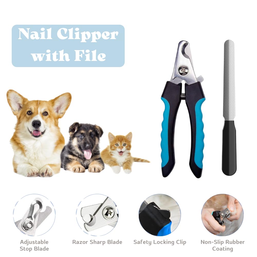 PupLuxe Collar and Leash—durable training gear for confident puppy walks.