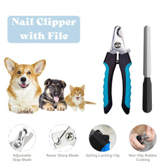 PupLuxe Collar and Leash—durable training gear for confident puppy walks.