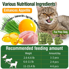 PuPoPan cat grass teething-stick ingredients highlight natural plant fibers and essential vitamins.