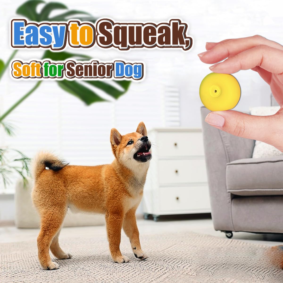PUPATTIC flat 2.2-inch ball ideal for indoor fetch