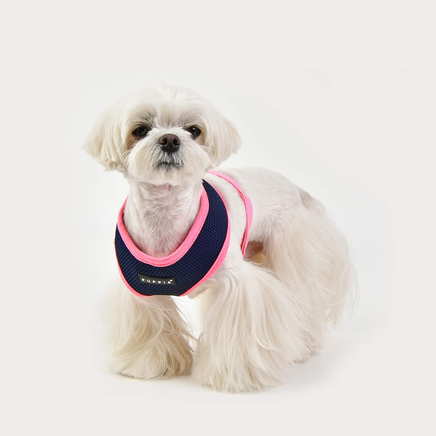 Puppia Soft Harness II Navy M inner filler close-up showing plush comfort