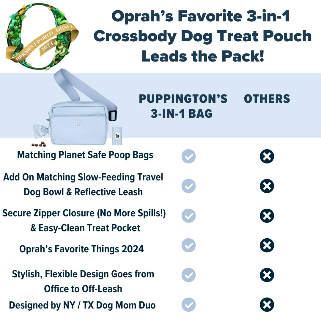 Puppington office-to-outing transition demonstrates everyday dog-parent practicality.