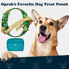 Puppington built-in poop bag dispenser during a calm dog walk.