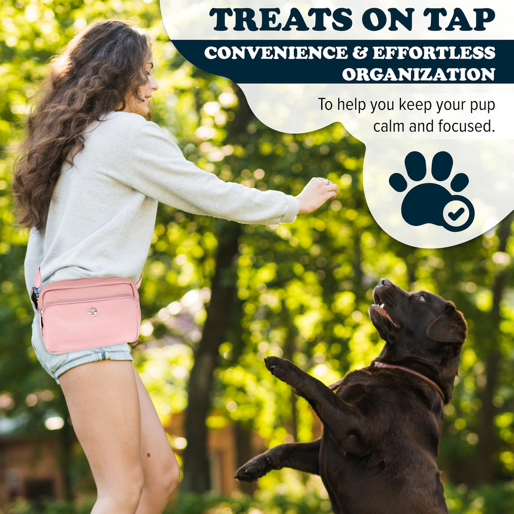 Puppington slow-feeding travel bowl with non-slip base shown for on-the-go meals.