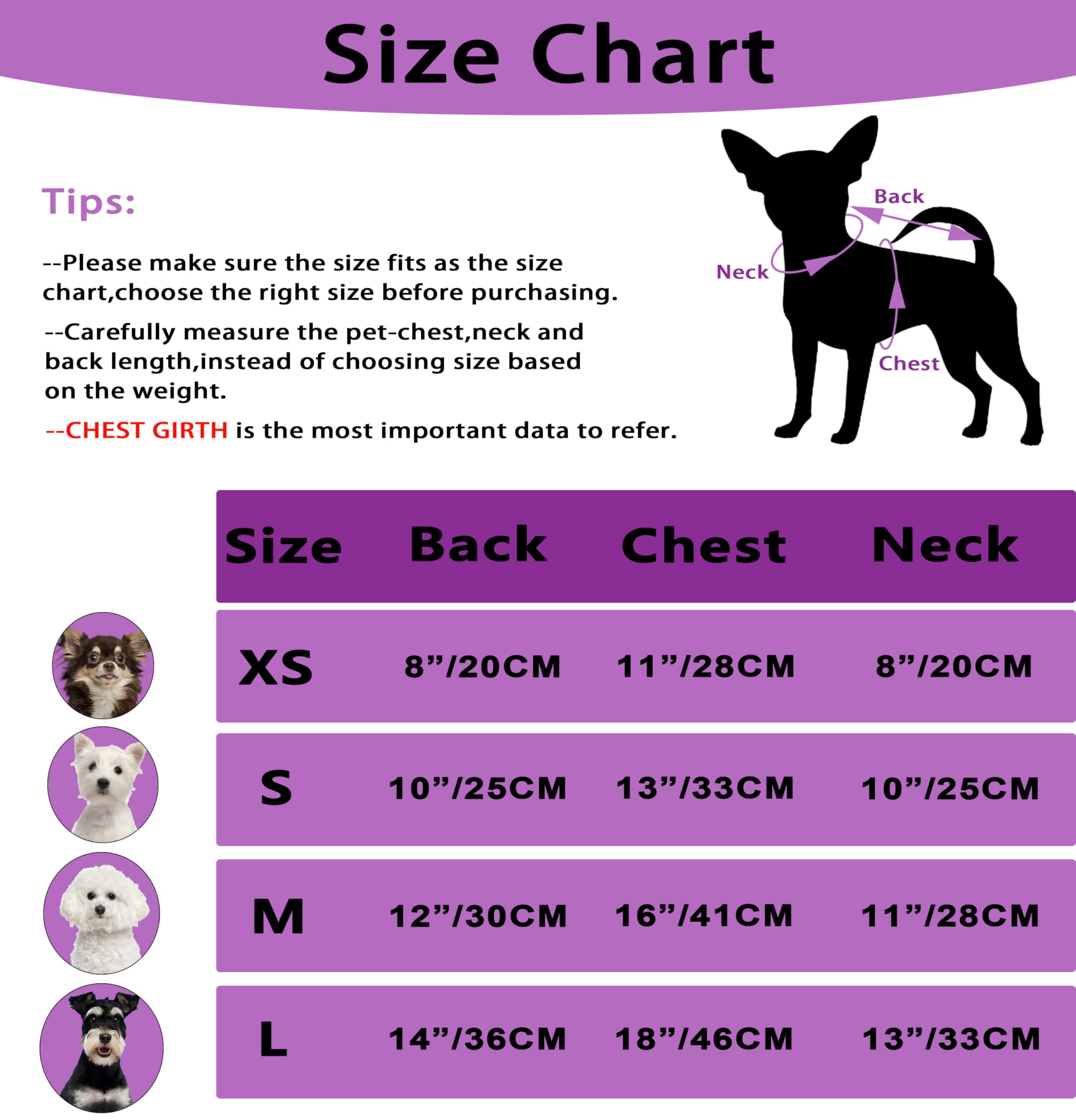 Puppishy purple daily-wear puppy outfit ready for daily use