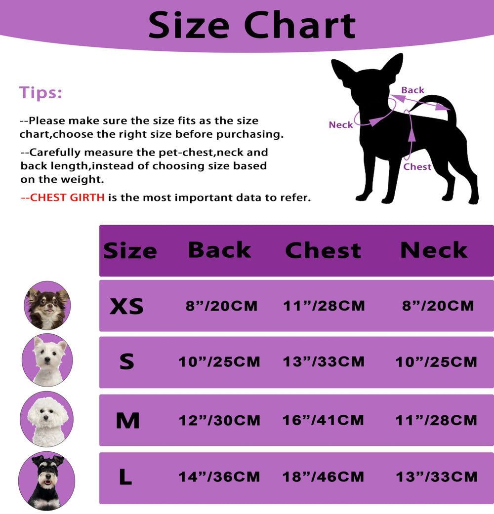 Puppishy purple daily-wear puppy outfit ready for daily use