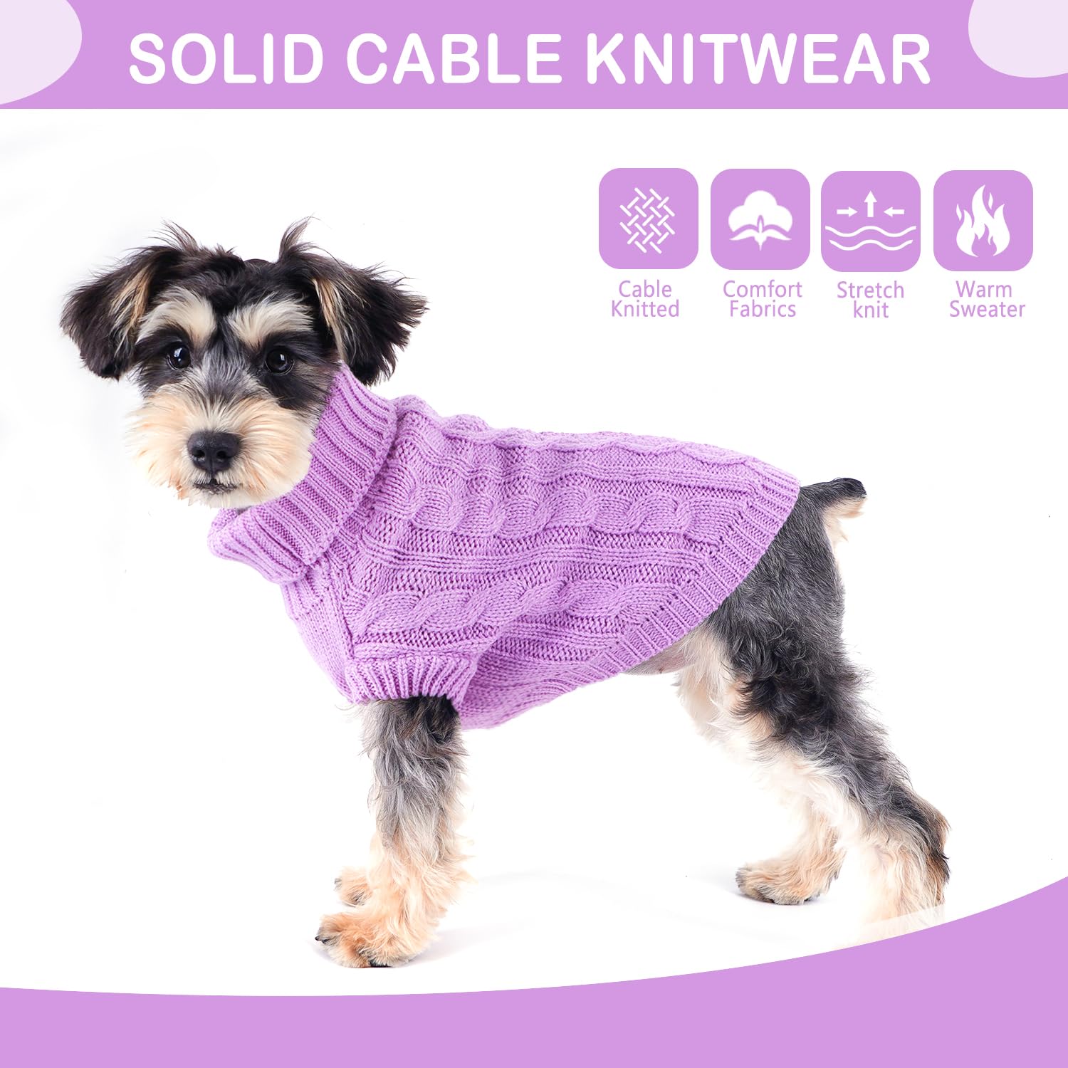 Puppishy small dog wearing sweater during a walk outdoors