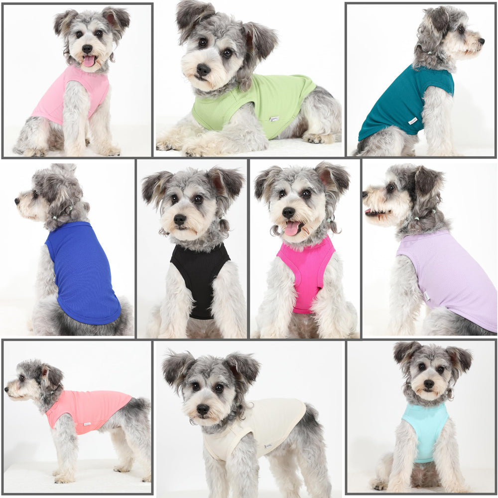 Puppishy two-pack includes medium size pack overview for value and variety