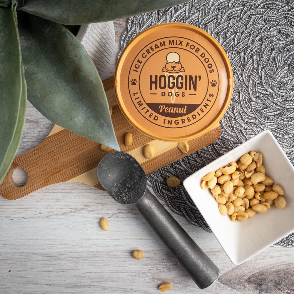 Puppy Cake Hoggin' Dogs dog enjoying a peanut-flavored creamy treat.