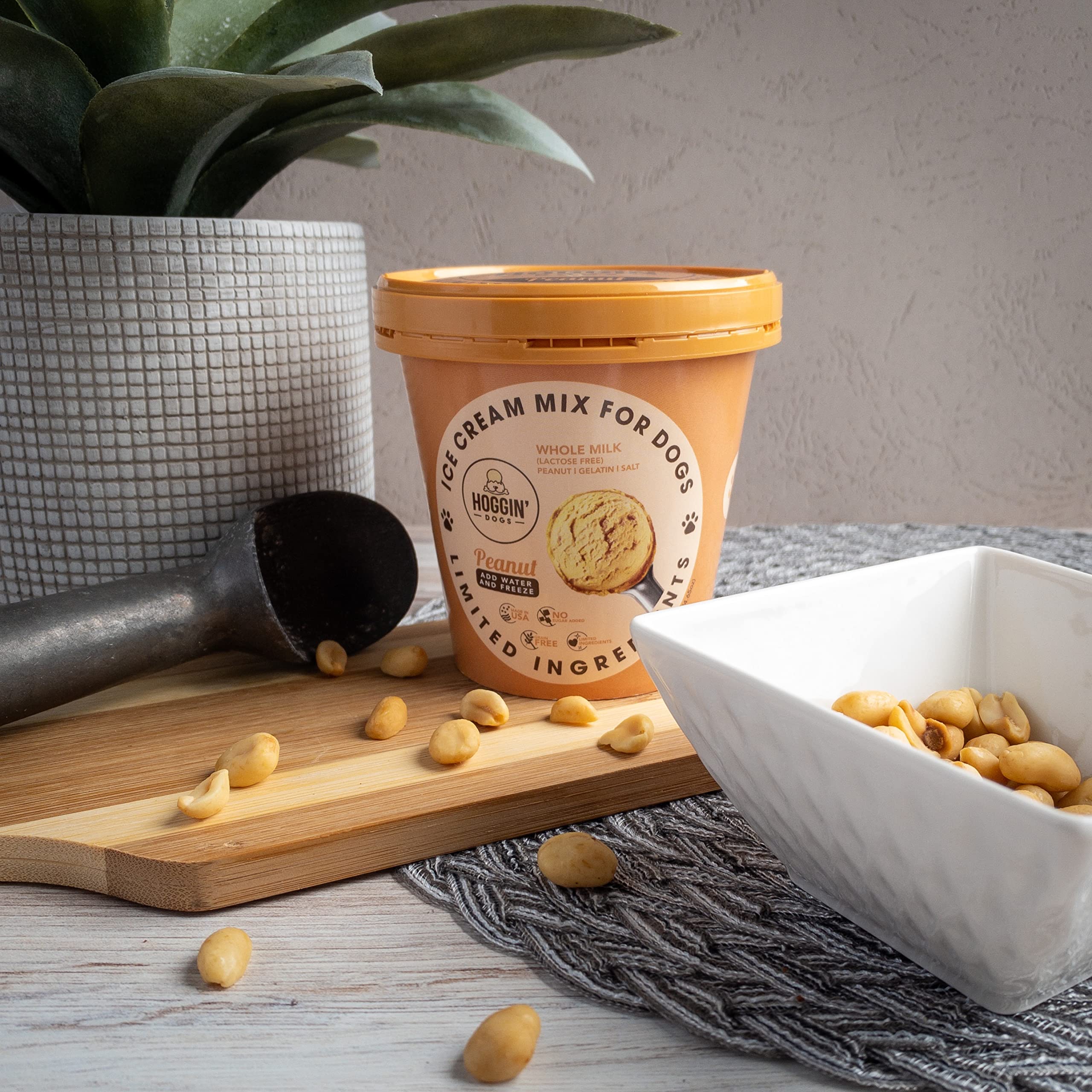 Puppy Cake Hoggin' Dogs pupsicle on a hot day providing relief.