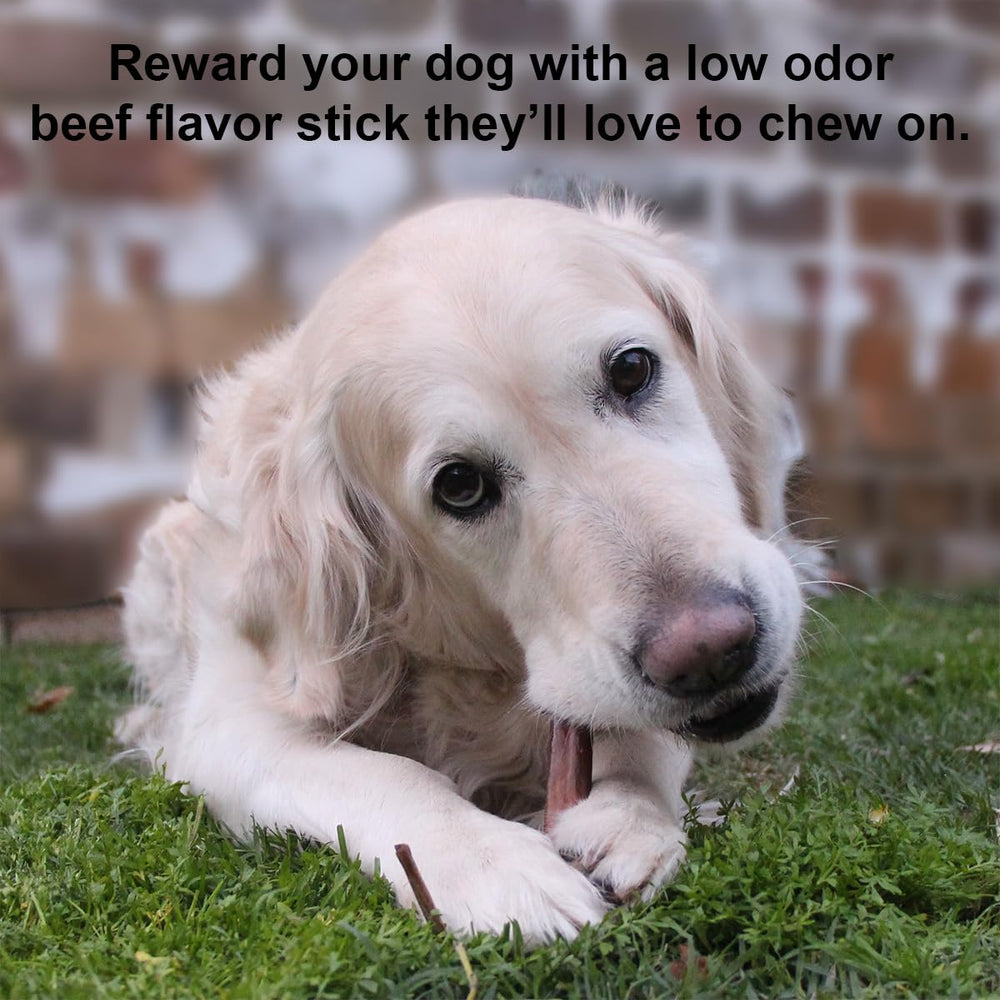 Puppy In Training beef collagen stick served on a dish for easy serving and portioning