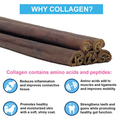 Puppy In Training puppy chewing collagen stick during a training session