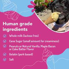 Puppy Scoops powder-mixer mixes dog ice cream powder quickly