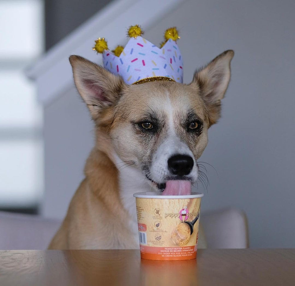 Puppy Scoops made in USA with wholesome ingredients for trusted treats