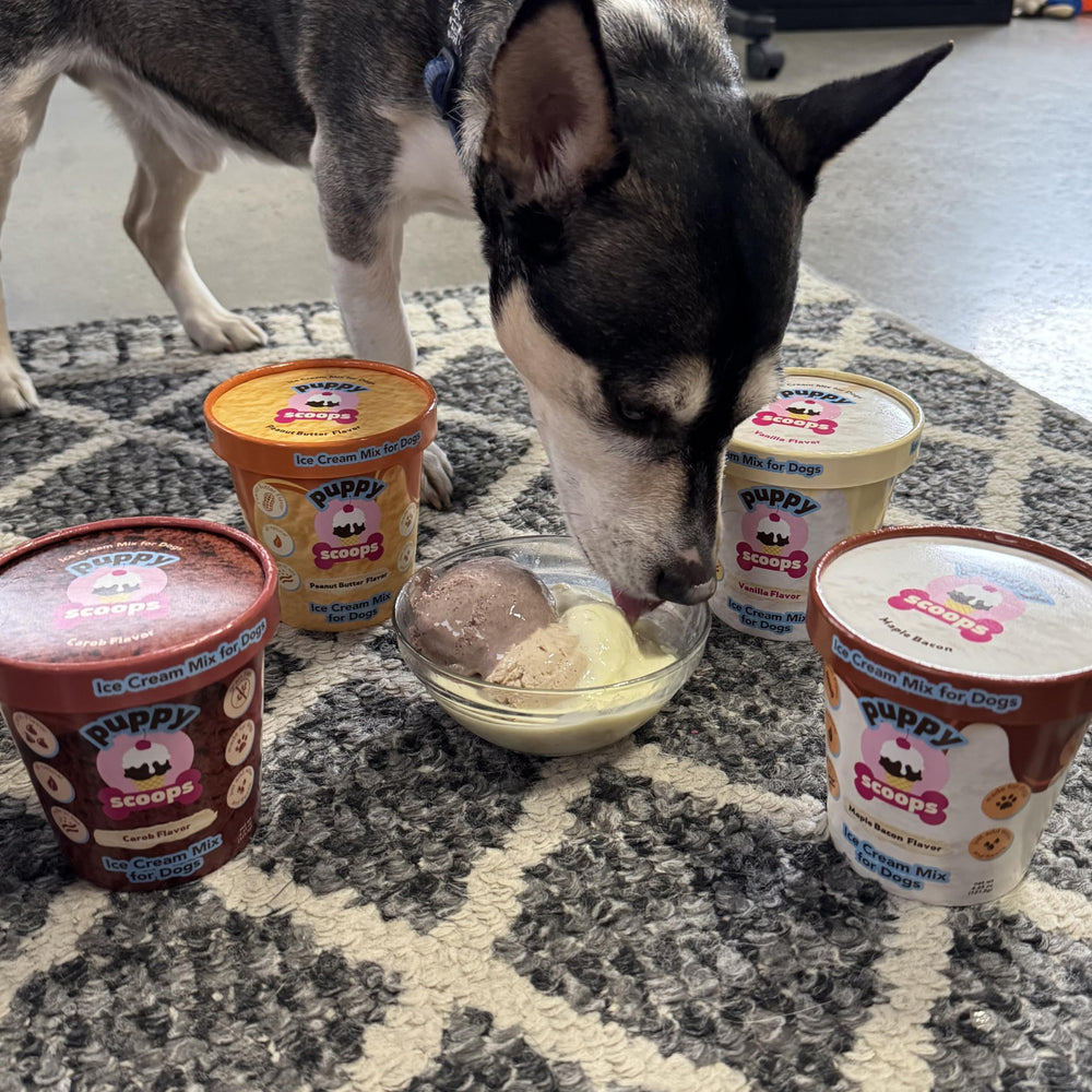 Puppy Scoops powder mix dissolving with water for quick at-home dog treats