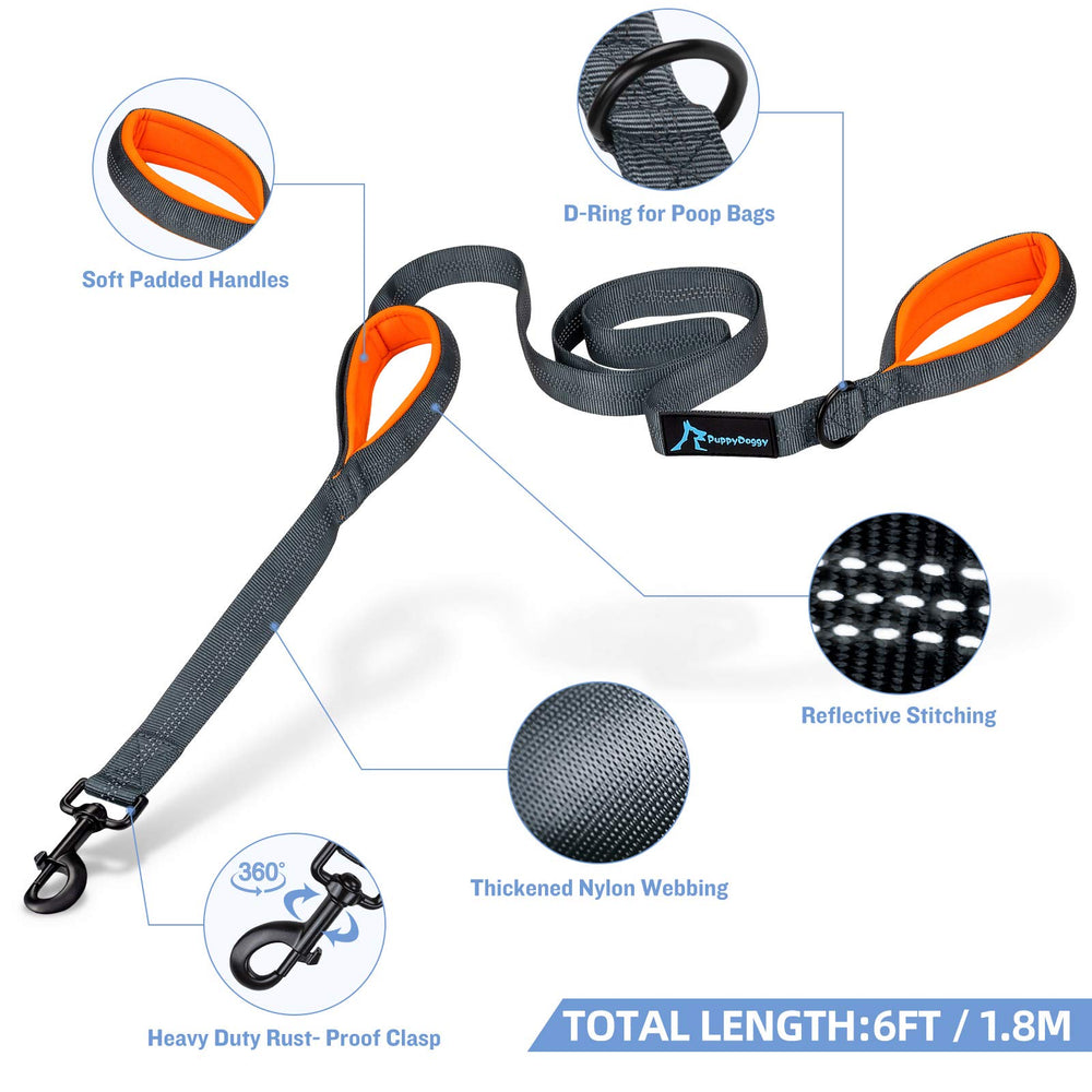 PuppyDoggy leash with reflective stitching improving night visibility